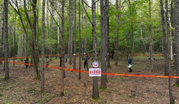 競(jìng)賽現(xiàn)場(chǎng)。圖片來(lái)源：國(guó)家林業(yè)和草原局