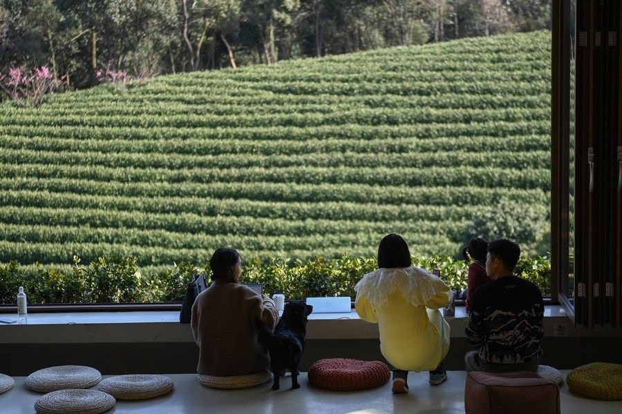 游客在浙江省安吉縣黃杜村萬畝茶園邊的咖啡館休閑（2023年2月21日攝）。