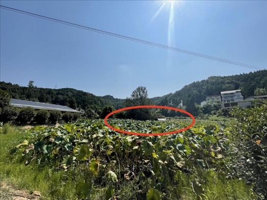 曾經(jīng)的圣水園所在地。 人民網(wǎng)記者 楊喬攝