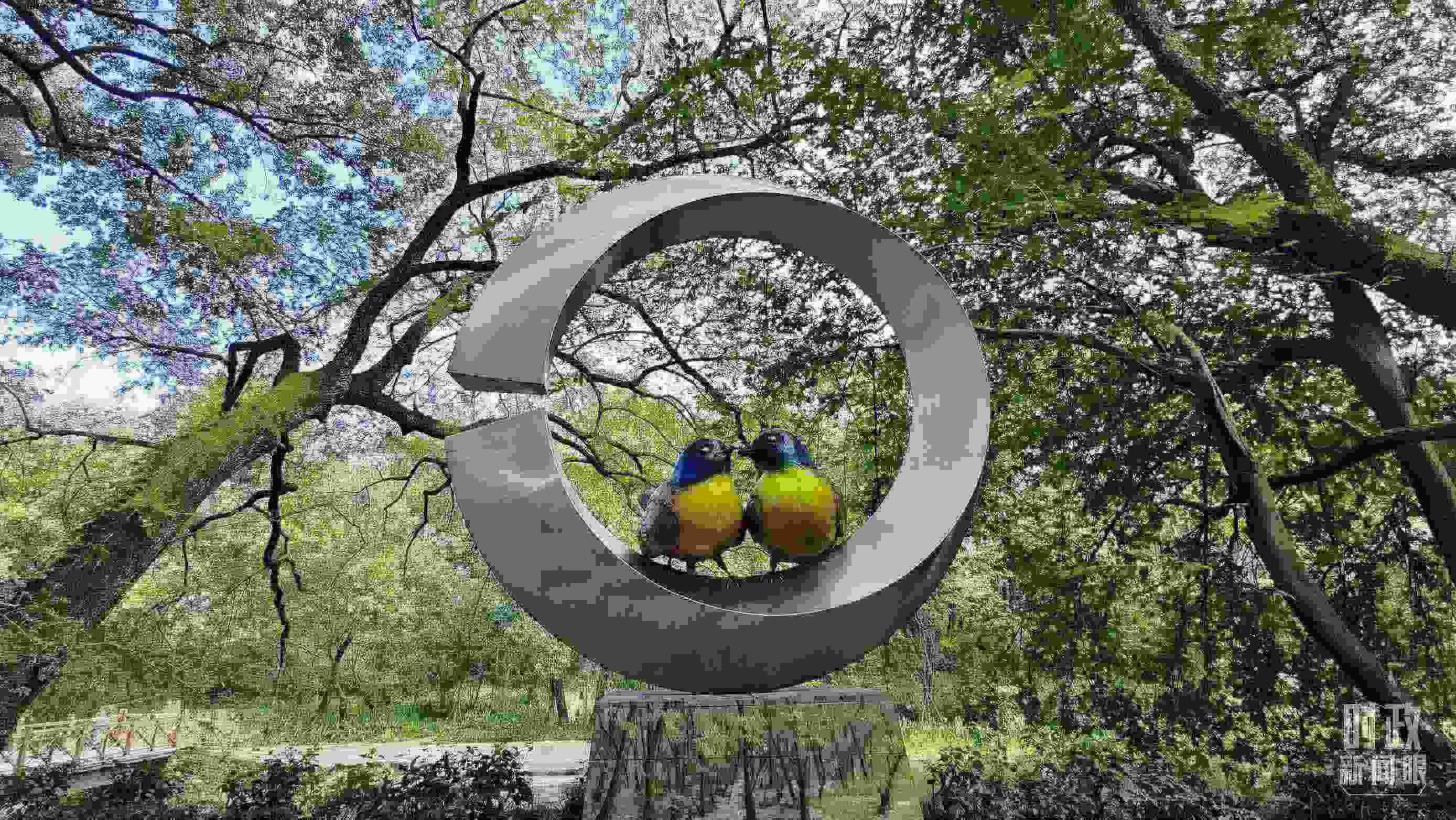 △石門村里的藍冠噪鹛雕像。（總臺央視記者許永松拍攝）