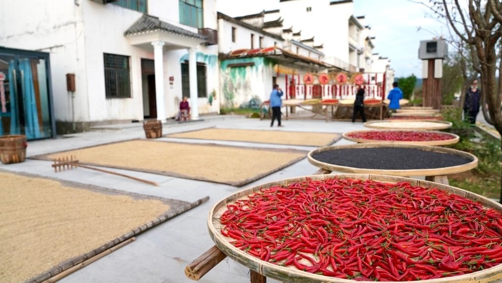 近日拍攝的江西省上饒市婺源縣秋口鎮(zhèn)王村石門(mén)自然村。新華社記者 胡晨歡 攝