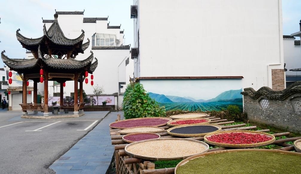 近日拍攝的江西省上饒市婺源縣秋口鎮(zhèn)王村石門(mén)自然村曬秋場(chǎng)景。新華社記者 胡晨歡 攝