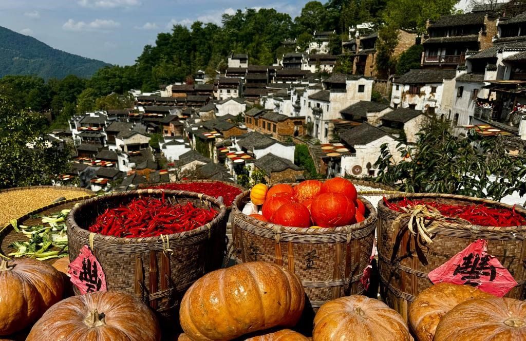 近日拍攝的江西省上饒市婺源縣篁嶺村曬秋畫(huà)面。新華社記者 胡晨歡 攝