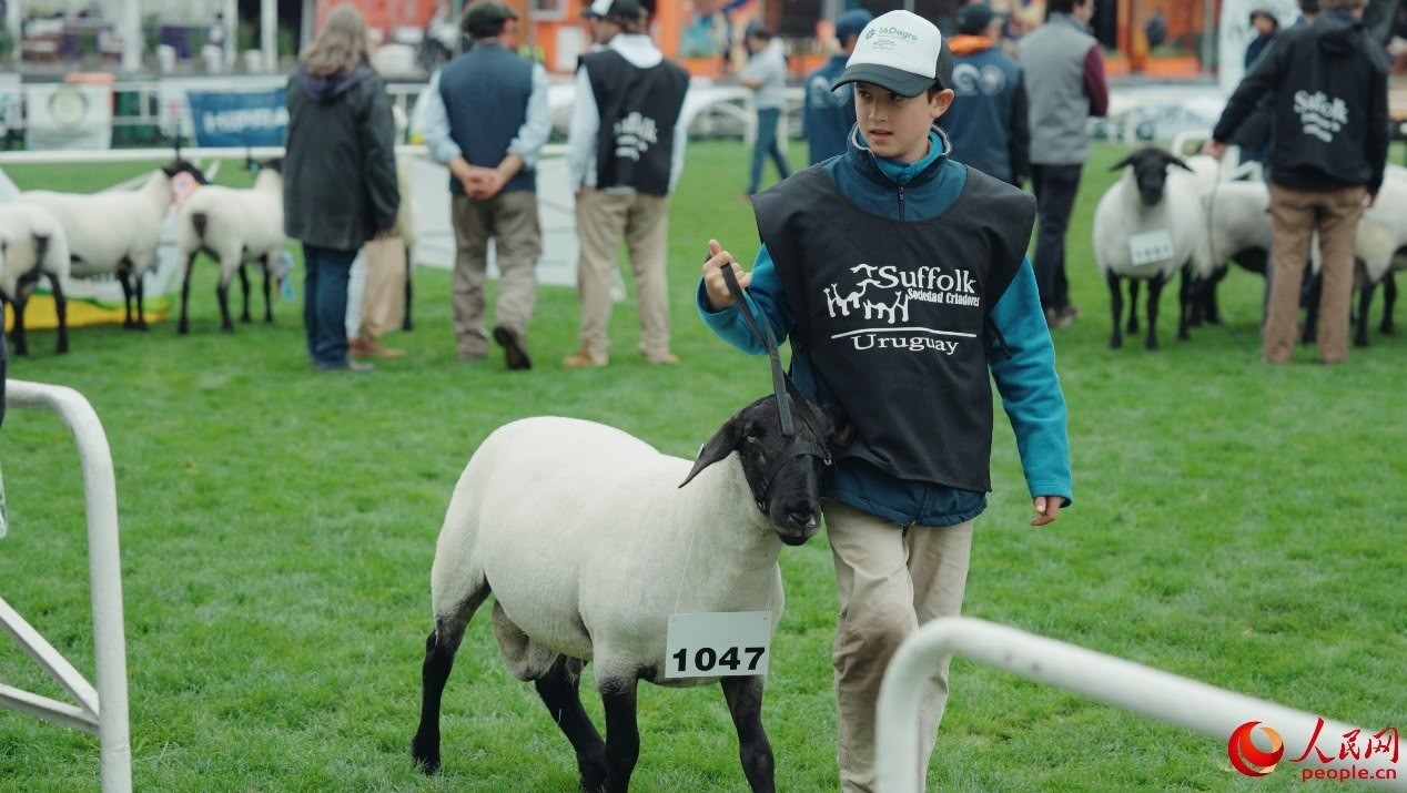 烏拉圭第118屆普拉多牧農(nóng)業(yè)國(guó)際博覽會(huì)現(xiàn)場(chǎng)。人民網(wǎng)記者 張若涵攝