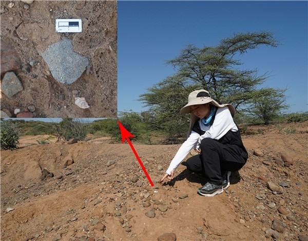 地層中的勒瓦婁哇石片。中肯聯(lián)合考古隊供圖