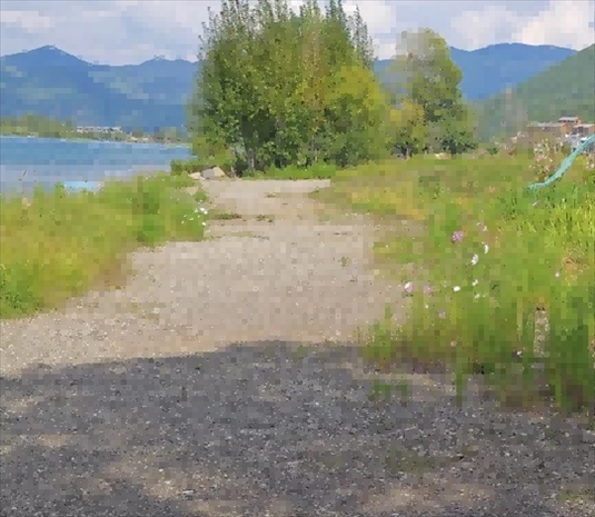 王軍所說(shuō)被填區(qū)域。 人民網(wǎng)記者 黃鈺攝