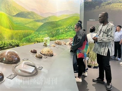  （在中國藥都中醫(yī)藥博物館，外媒記者了解中醫(yī)藥發(fā)展史。中國經(jīng)濟(jì)周刊記者 郭志強(qiáng) 攝）