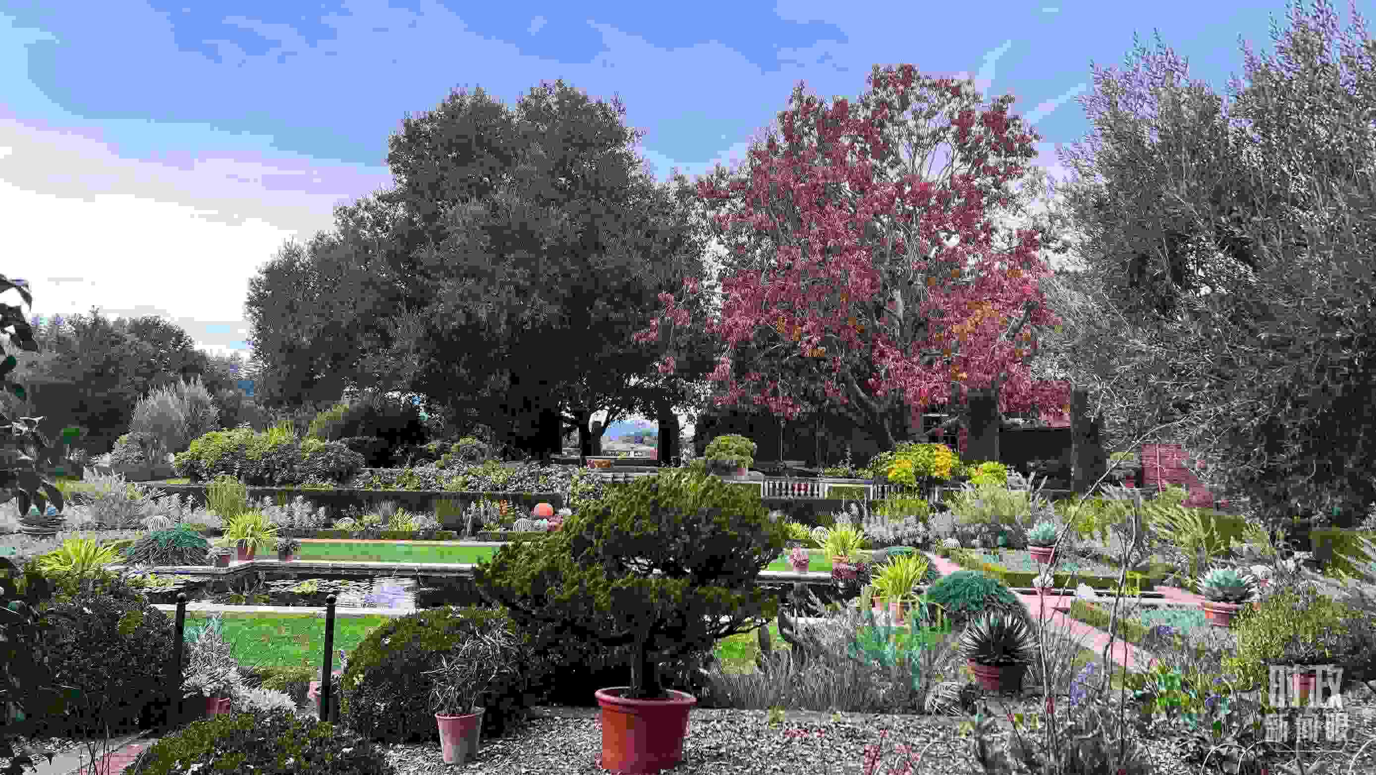 斐洛里莊園被稱作美國20世紀(jì)現(xiàn)存最精美鄉(xiāng)村莊園之一。（總臺央視記者程鋮拍攝）