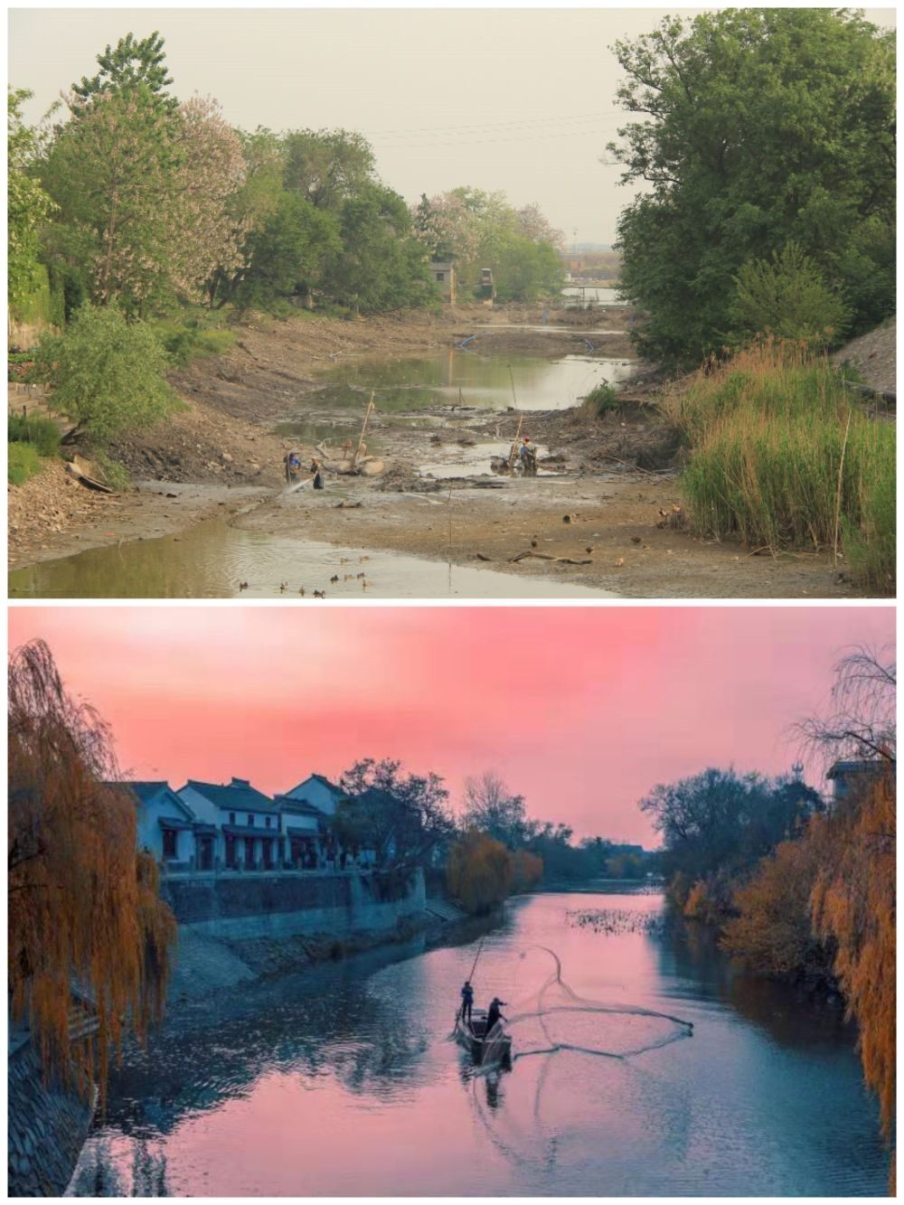 江蘇省揚(yáng)州市江都區(qū)明清運(yùn)河故道整治前后。（上圖：2012年；下圖：2020年）（孫友定 攝）