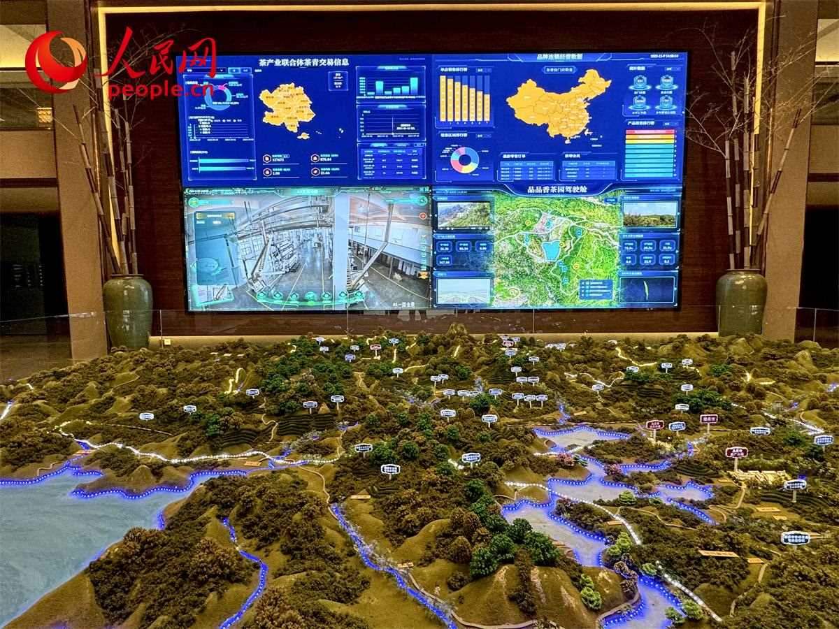 品品香白茶產(chǎn)業(yè)園信息中心數(shù)智化大屏。人民網(wǎng)記者 劉微攝