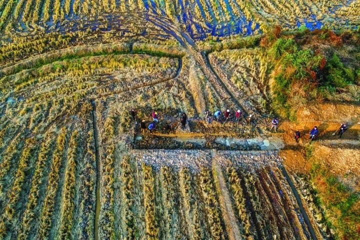 良渚遺址考古發(fā)掘現(xiàn)場(chǎng)。