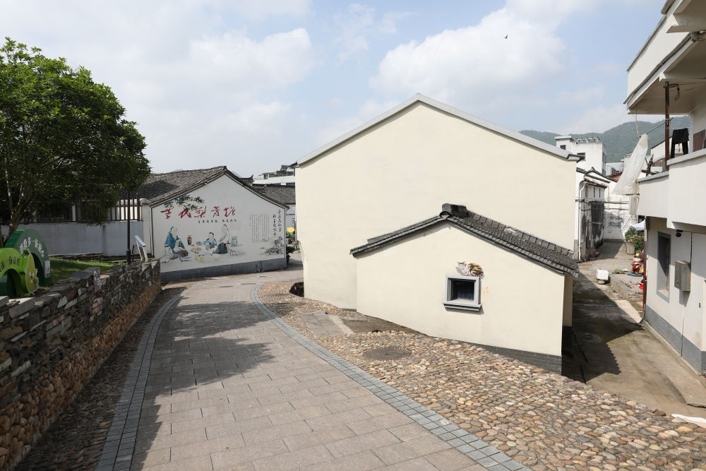 浙江省義烏市李祖村一景（2023年5月23日攝）。新華社記者 杜瀟逸 攝