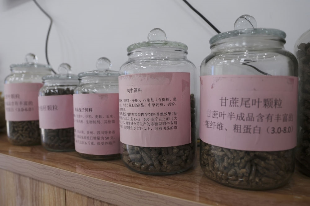 這是12月13日在來賓市興賓區(qū)小平陽鎮(zhèn)一家飼料廠拍攝的以甘蔗尾葉為原料制成的飼料。
