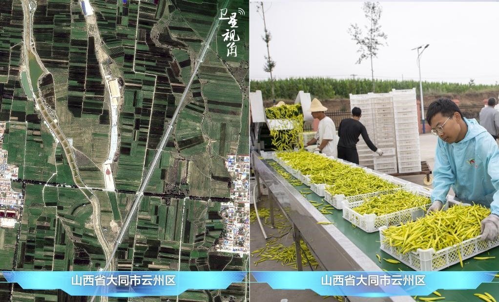 當(dāng)前，大同市開發(fā)黃花菜品、食品、飲品、功能食品、化妝品、文創(chuàng)產(chǎn)品六大系列130余種，全產(chǎn)業(yè)鏈產(chǎn)值超40億元。