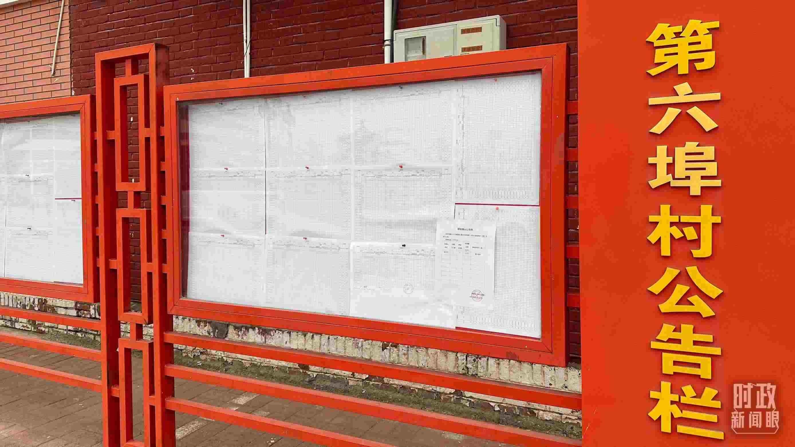 △第六埠村公告欄里張貼著“天津市2023年蓄滯洪區(qū)農作物、經(jīng)濟林補償標準表”等。（總臺央視記者覃思拍攝）