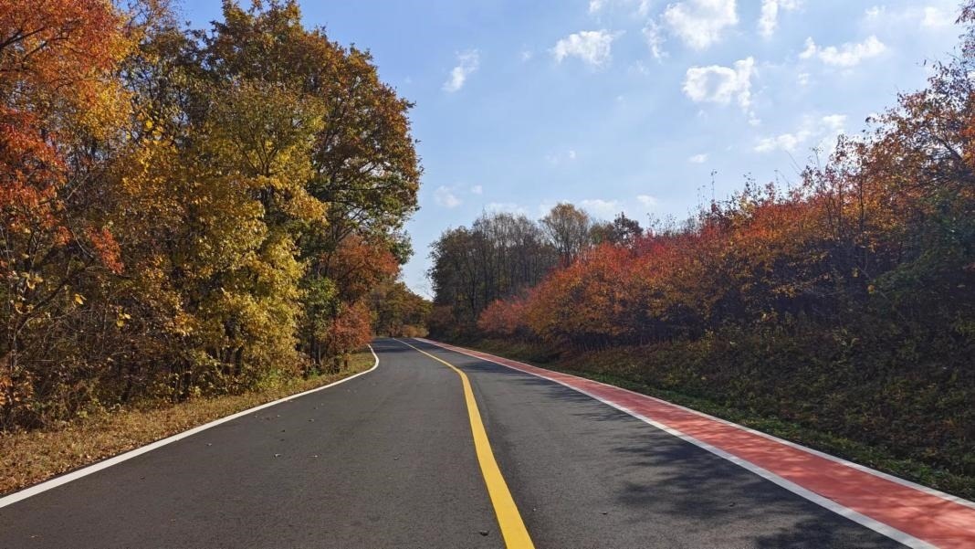 九臺區(qū)圍繞紅色文化、冰雪資源、特色民宿，進(jìn)一步完善道路功能。九臺區(qū)委宣傳部供圖