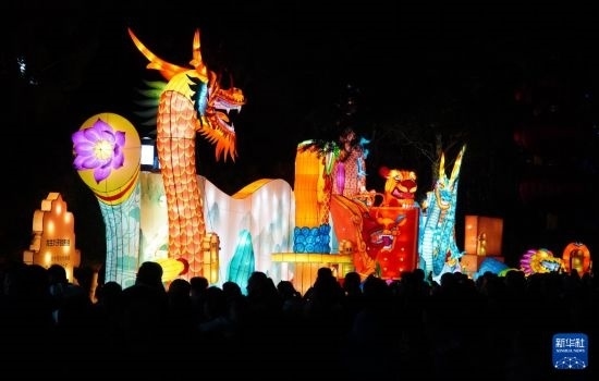 2月11日晚，人們在濟(jì)南市趵突泉公園觀賞花燈。