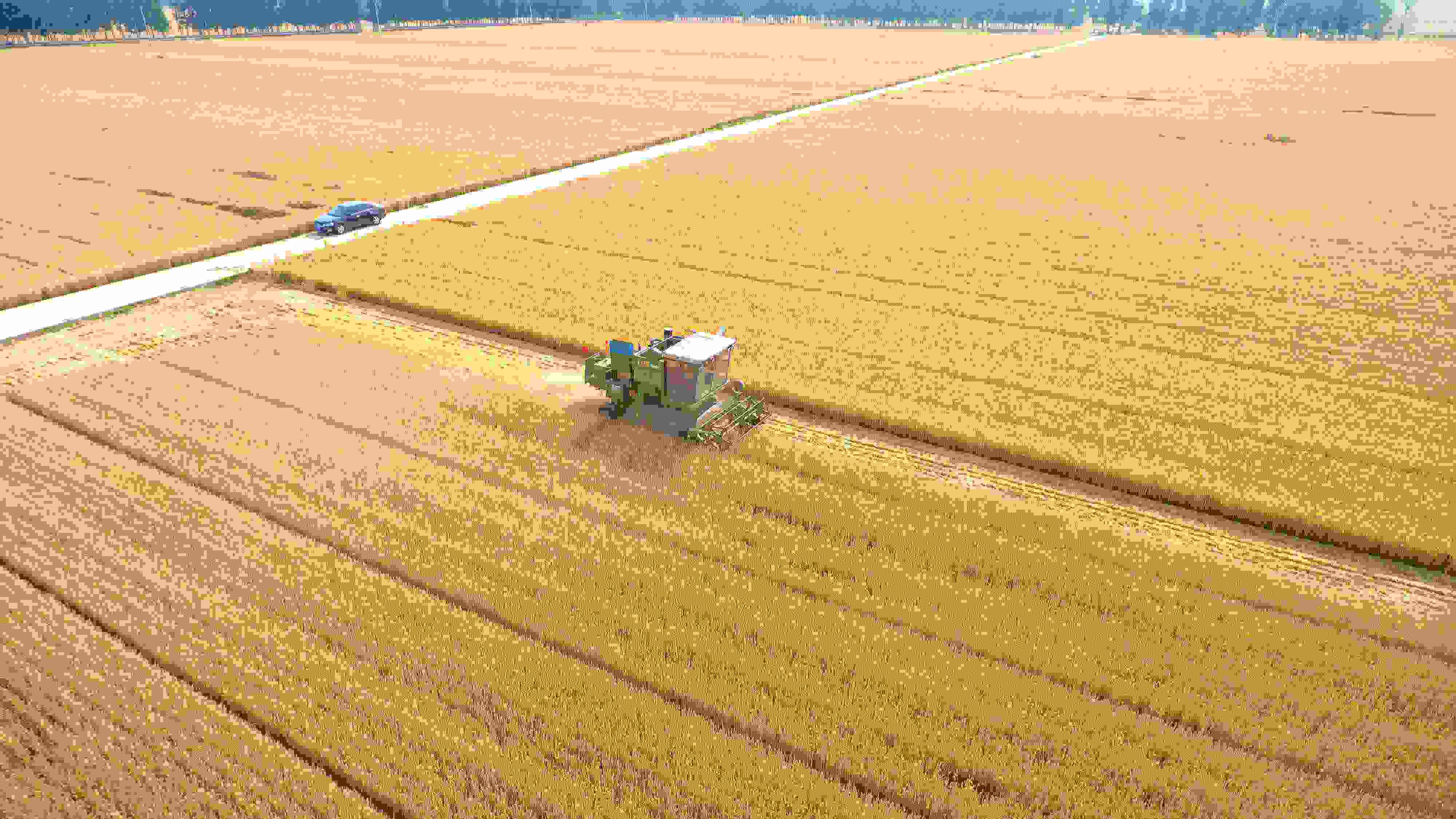 △ 2023年6月5日，山東聊城茌平區(qū)賈寨鎮(zhèn)王藥包村，收割機(jī)在田間進(jìn)行小麥?zhǔn)崭钭鳂I(yè)。