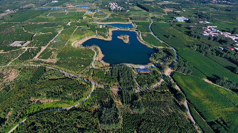 這是2022年9月6日拍攝的雄安新區(qū)“千年秀林”。