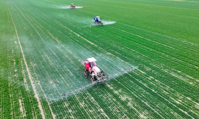 2024年2月18日，安徽省亳州市，利辛縣紀(jì)王場(chǎng)鄉(xiāng)孫老家村麥田，農(nóng)民駕駛自走式高桿噴霧機(jī)對(duì)小麥進(jìn)行噴藥作業(yè)。
