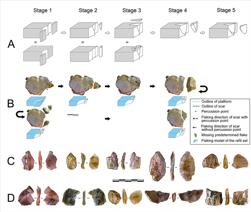 岑家灣遺址“準備石核技術”及相關石制品。（受訪單位供圖）