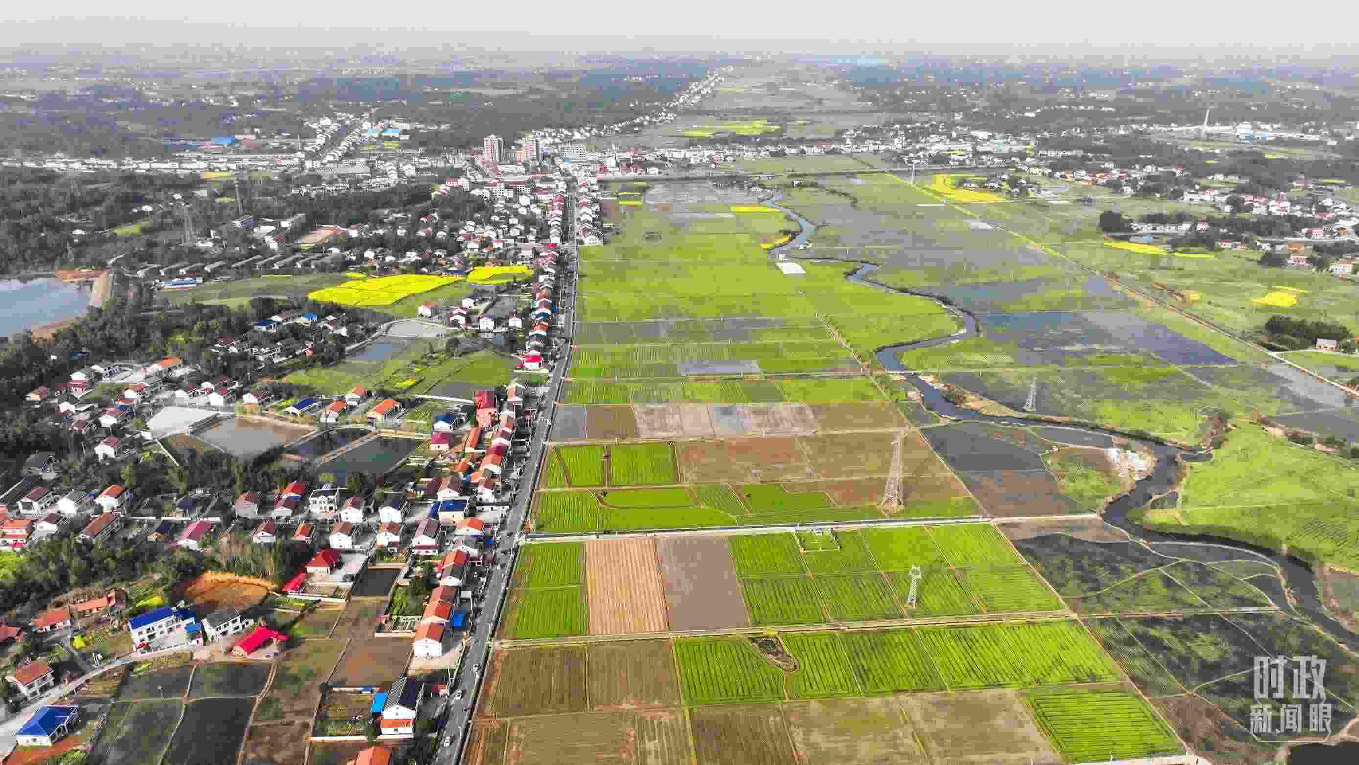 △俯瞰常德市謝家鋪鎮(zhèn)港中坪村。（總臺國廣記者李晉拍攝）