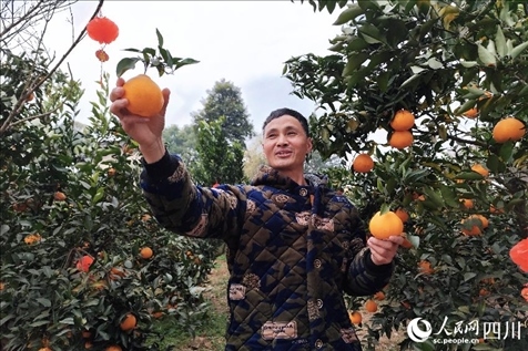 鐵牛村村民趙光進(jìn)。人民網(wǎng)記者 朱虹攝