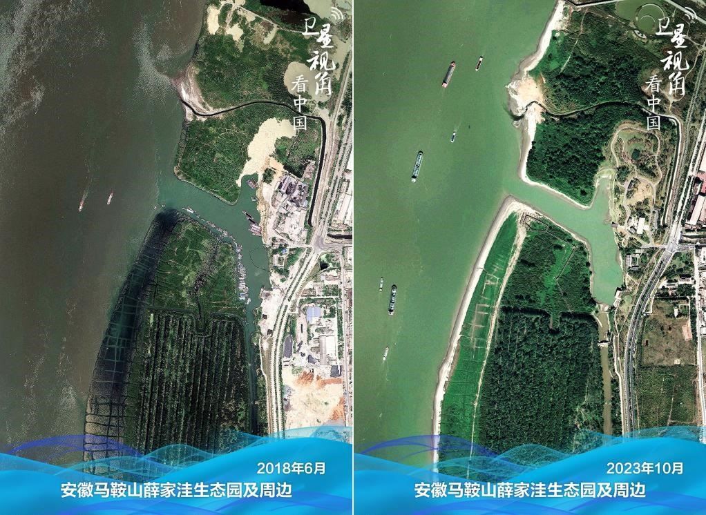 經(jīng)過整治后的安徽馬鞍山薛家洼生態(tài)園生機盎然。