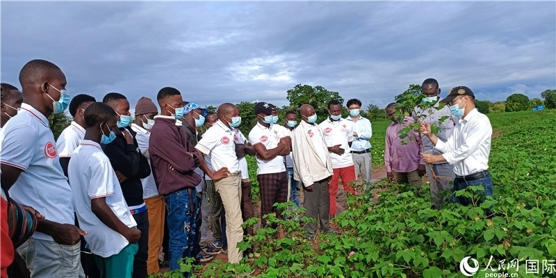 項(xiàng)目組長首小勇向當(dāng)?shù)孛揶r(nóng)做技術(shù)講解。人民網(wǎng)記者 黃培昭攝