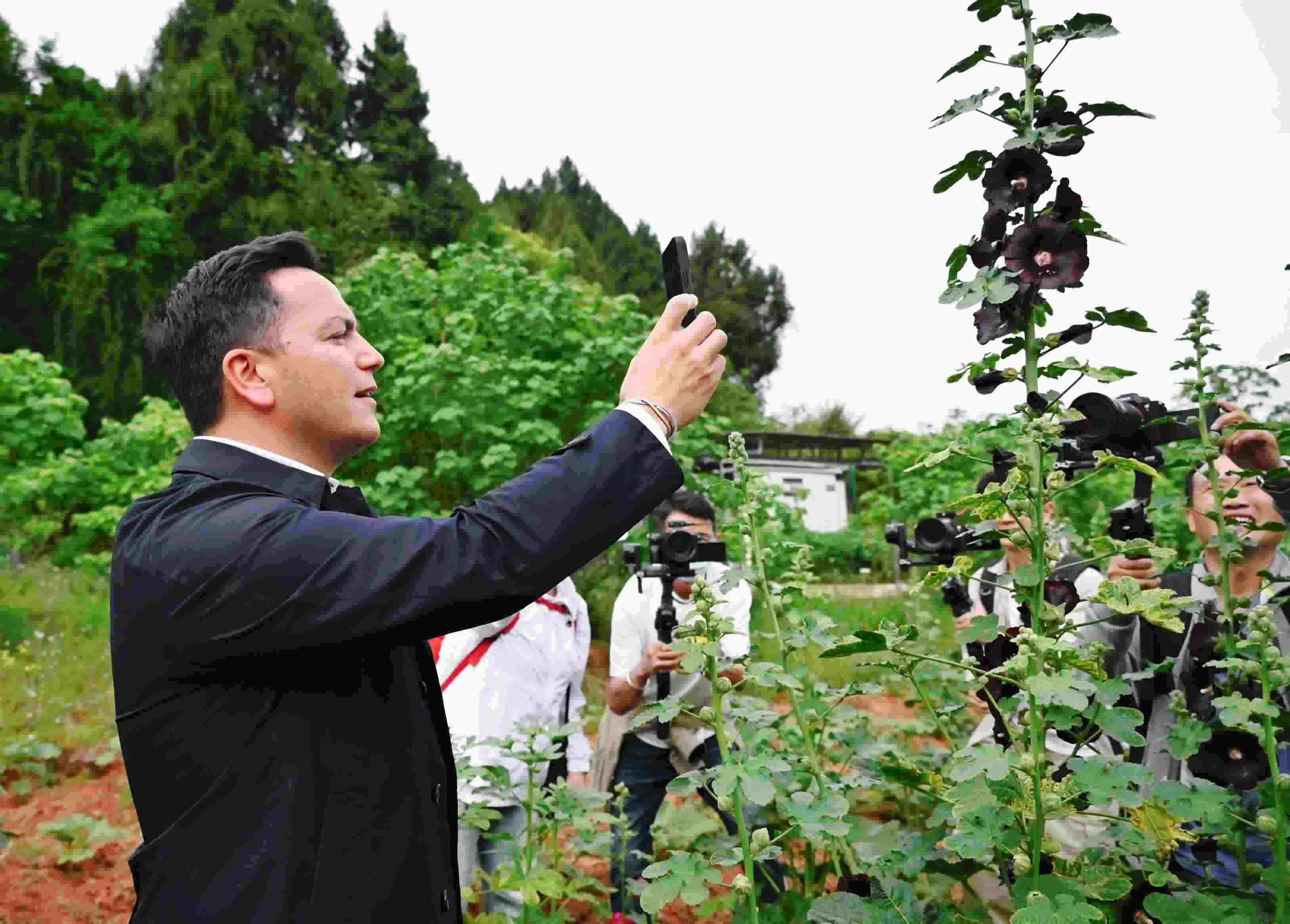  △2024年4月23日，國(guó)際園藝生產(chǎn)者協(xié)會(huì)主席萊昂納多·卡皮塔尼奧在成都市金堂縣鮮花山谷景區(qū)考察蜀葵產(chǎn)業(yè)。