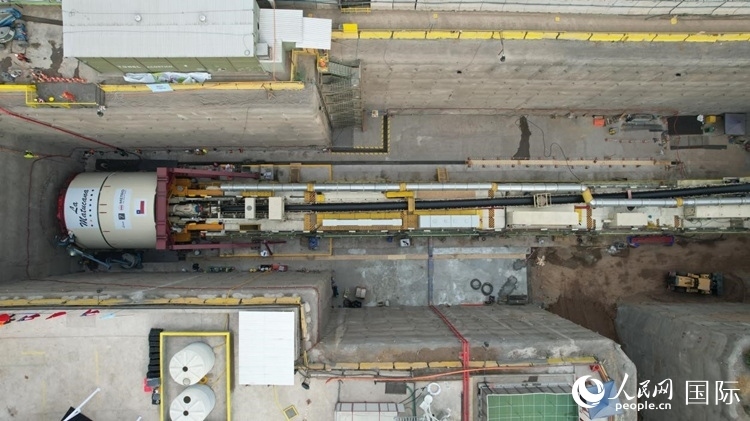 質(zhì)構(gòu)機(jī)全景。陳露明攝