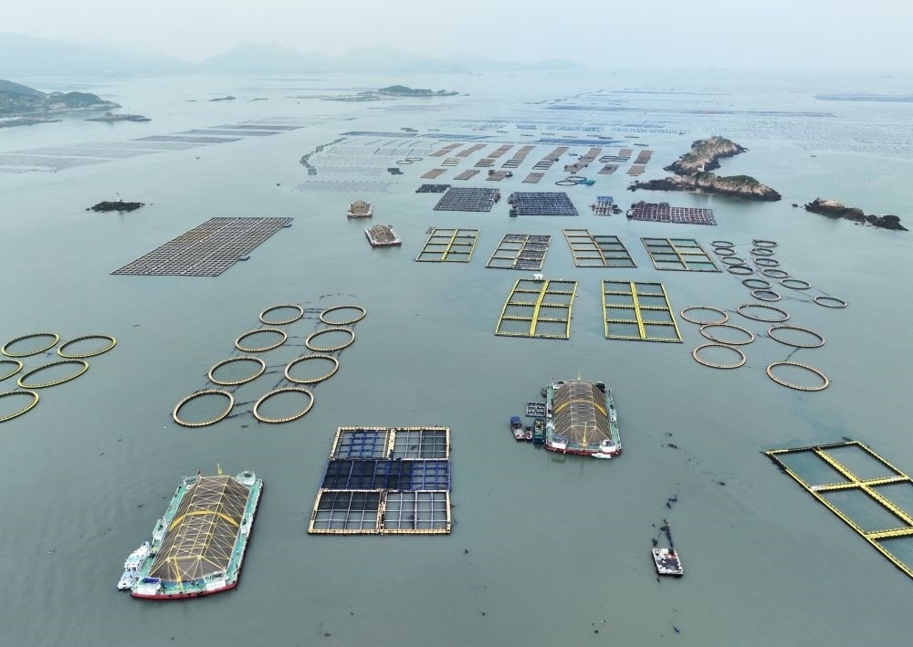 在福建連江定海灣海域，坐落著“定海灣1號”“定海灣2號”等深遠海養(yǎng)殖平臺（2024年5月7日攝，無人機照片）。新華社記者 林善傳 攝
