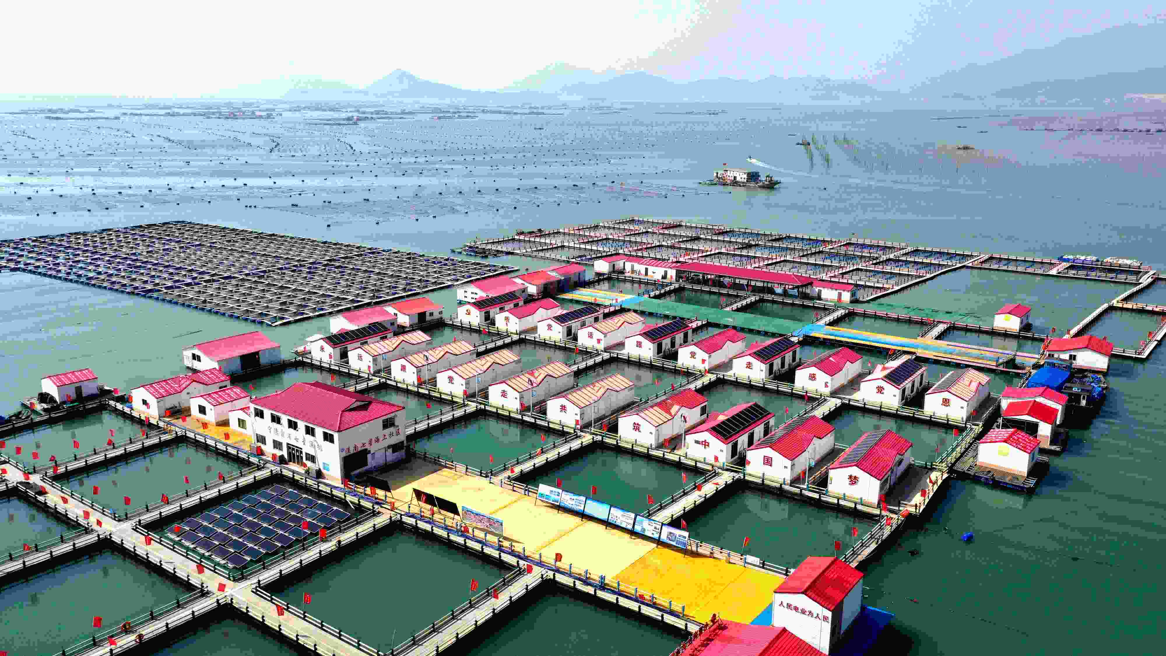 2024年3月20日，福建省寧德市，霞浦縣溪南鎮(zhèn)七星村漁排養(yǎng)殖示范區(qū)，漁民駕駛養(yǎng)殖船進行海參養(yǎng)殖作業(yè)。