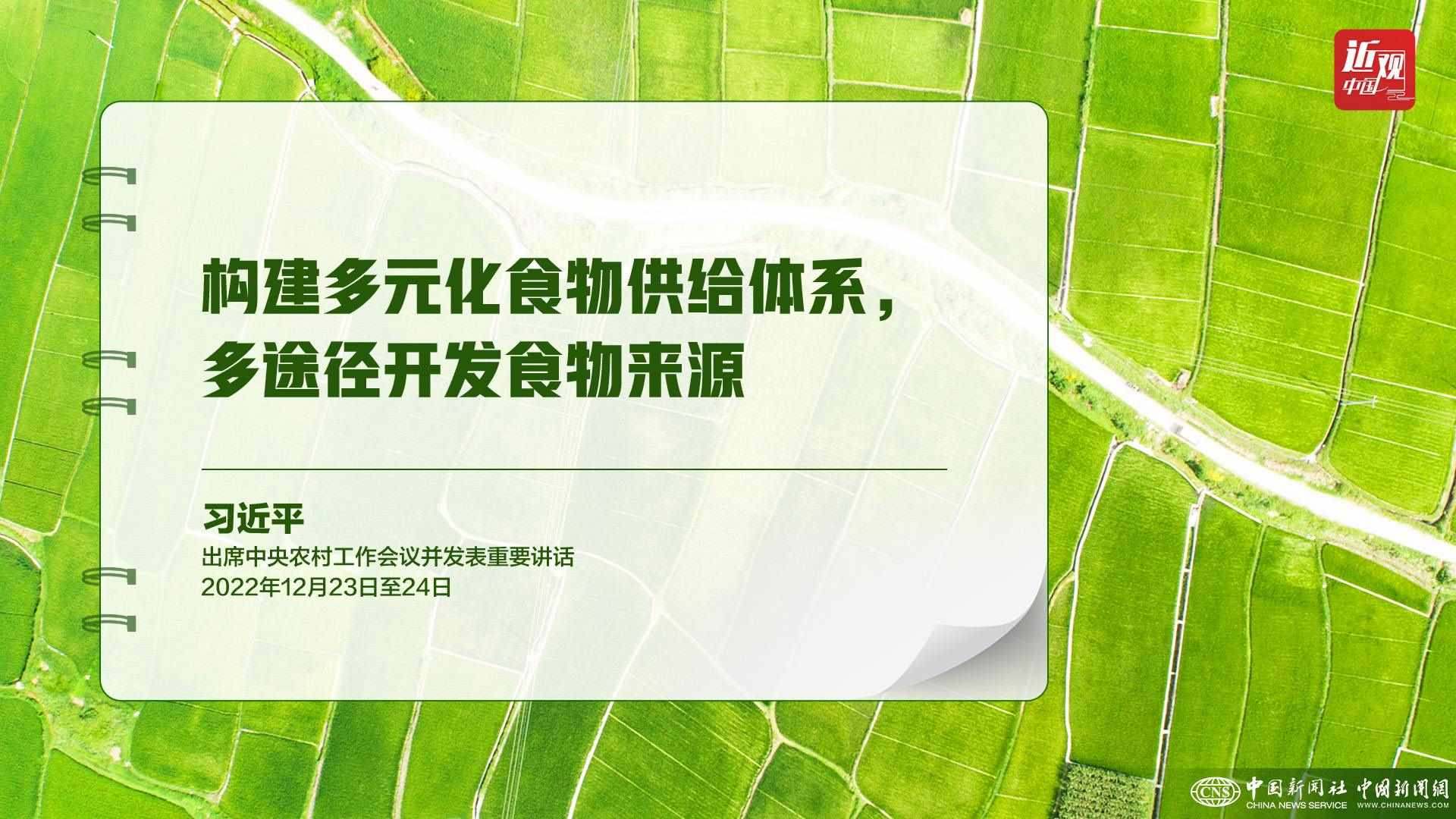 習近平：樹立大食物觀，構建多元化食物供給體系