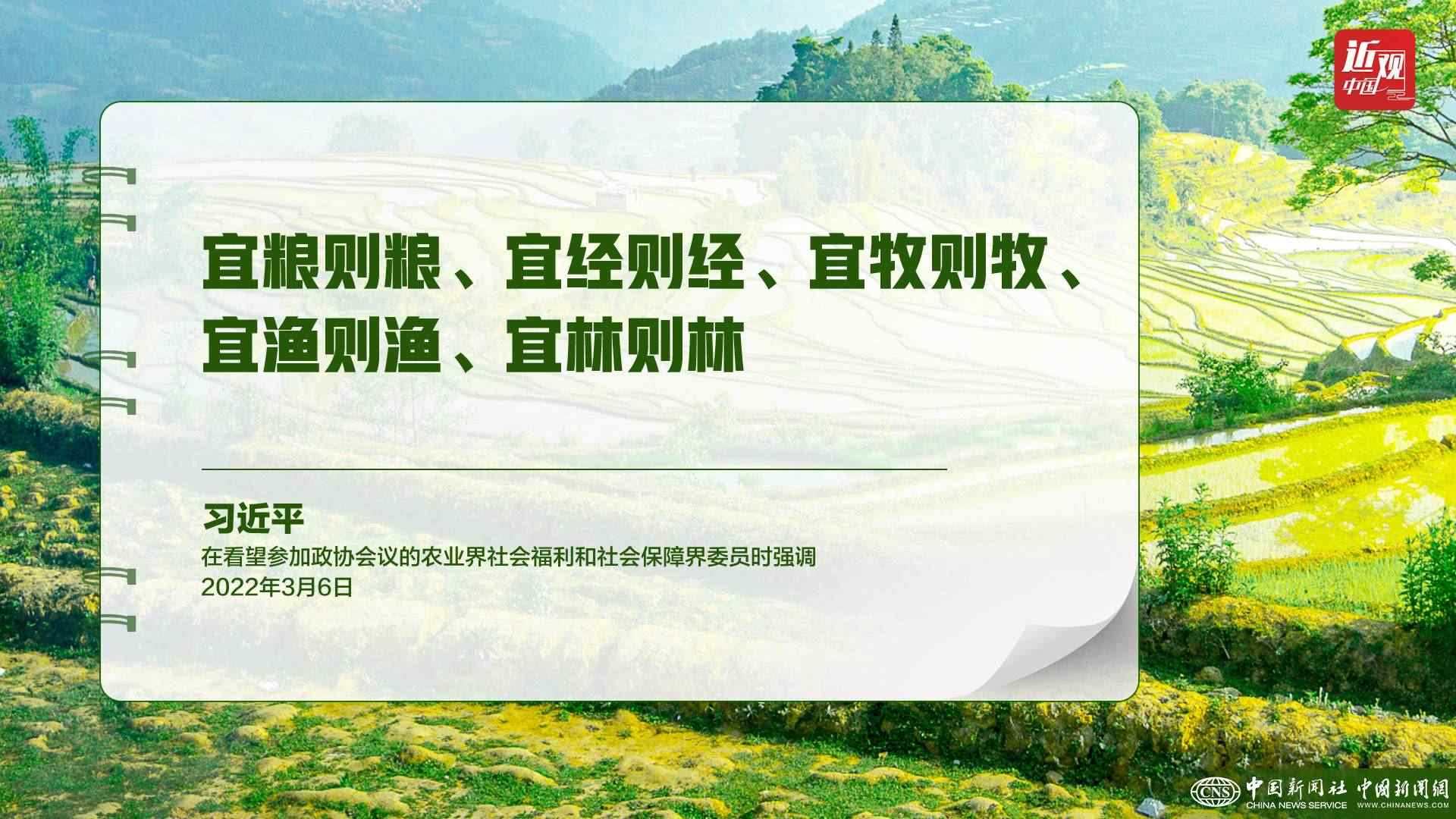 習近平：樹立大食物觀，構建多元化食物供給體系