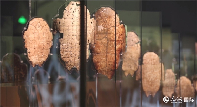 殷墟博物館新館的甲骨展品。人民網(wǎng)記者 劉寧攝