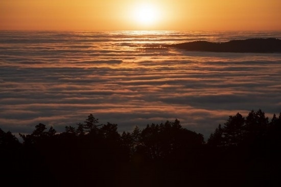 這是5月14日在美國(guó)加利福尼亞州馬林縣拍攝的云海。新華社發(fā)（李建國(guó)攝）