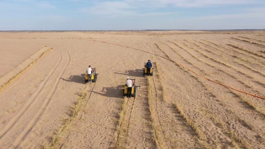 內(nèi)蒙古巴彥淖爾市烏拉特后旗西補隆林業(yè)管護中心職工駕駛機械鋪設(shè)壓沙障。新華社記者 李云平 攝