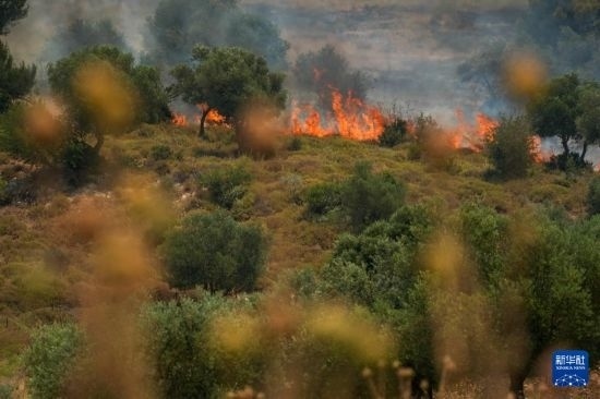 6月12日，以色列北部加利利地區(qū)遭受火箭彈襲擊后冒出滾滾濃煙。新華社發(fā)（阿亞爾·馬戈林?jǐn)z/基尼圖片社）