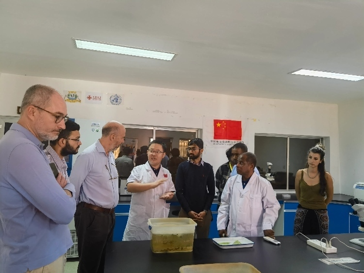 活動現場。專家組供圖