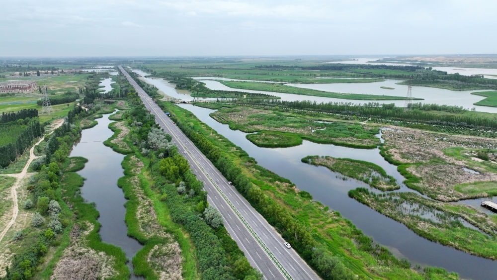 這是2024年6月13日拍攝的黃河寧夏段濱河大道（無人機(jī)照片）。近年來，寧夏努力建設(shè)黃河流域生態(tài)保護(hù)和高質(zhì)量發(fā)展先行區(qū)，全力打好黃河保護(hù)持久戰(zhàn)。新華社記者 王鵬 攝