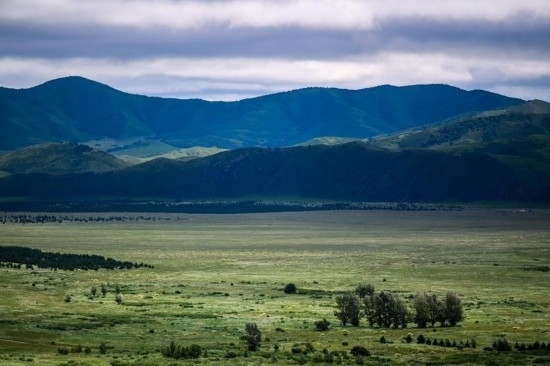 2023年8月4日拍攝的大興安嶺南麓內蒙古罕山國家級自然保護區(qū)風光。新華社記者 連振 攝