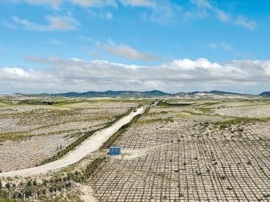 剛剛竣工的其白線穿沙公路。