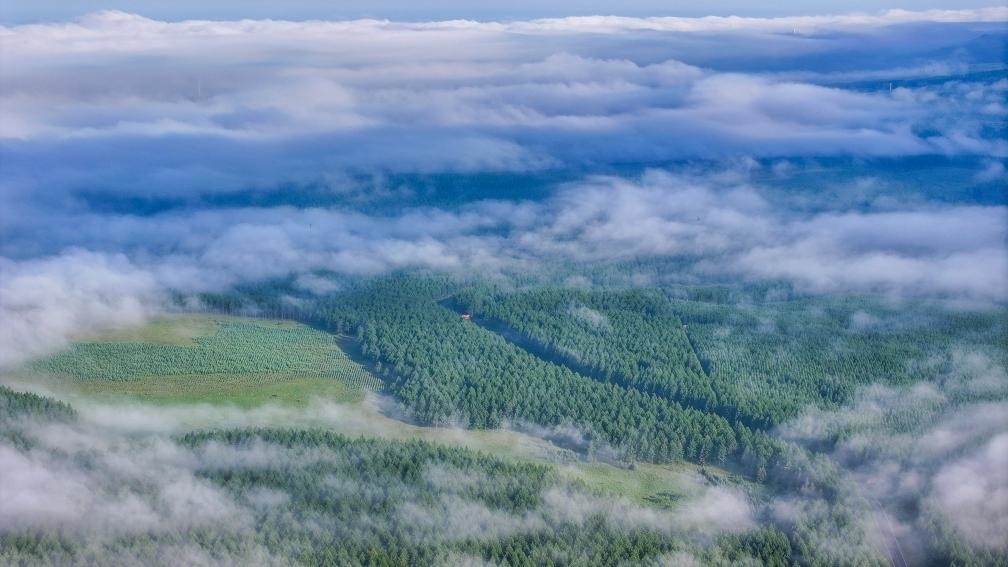 2024年7月26日拍攝的塞罕壩國家級自然保護區(qū)景色。新華社發(fā)（劉滿倉 攝）