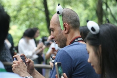 俄羅斯《俄羅斯報》視覺內(nèi)容編輯阿爾圖爾·杰魯諾夫在拍攝熊貓。（李佩藺 攝）