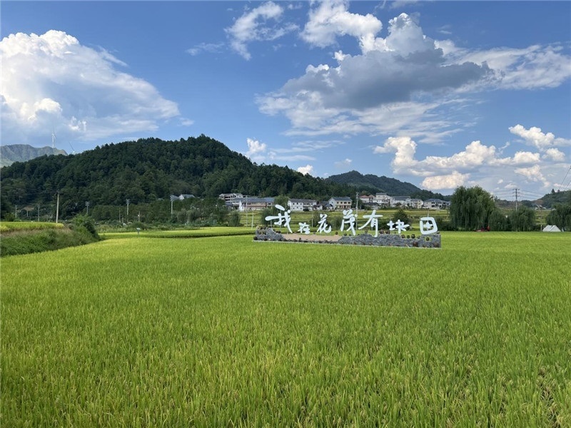 青瓦白磚的黔北民居、風(fēng)中搖曳的稻田、抬手可觸的大片云朵……才剛下車，格魯吉亞“經(jīng)濟(jì)中心網(wǎng)”總編輯莉安娜·喬爾喬利亞尼就被眼前的景色拖住了步履，喃喃細(xì)語(yǔ)：“實(shí)在太美了，讓我內(nèi)心平靜，在這里生活一定非常安逸和幸福。”（邱輝攝）