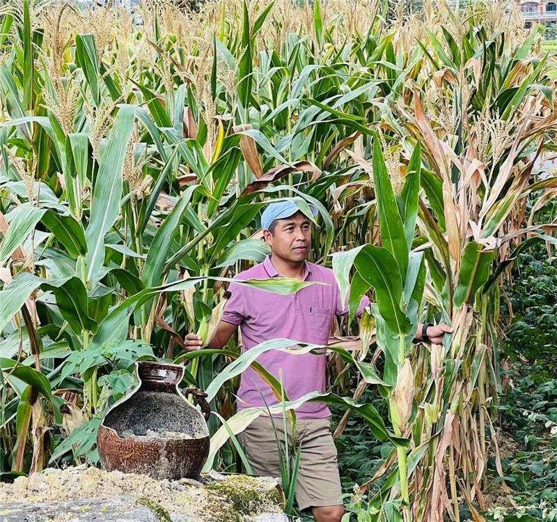 不是攀登石林高臺(tái)，就是鉆入玉米莊稼地，吉爾吉斯斯坦《自由之山報(bào)》總編輯納拉雷·阿桑巴耶夫“身手不凡”，與生長(zhǎng)旺盛的玉米構(gòu)成了花茂村的鄉(xiāng)間野趣。（張亞欣攝）