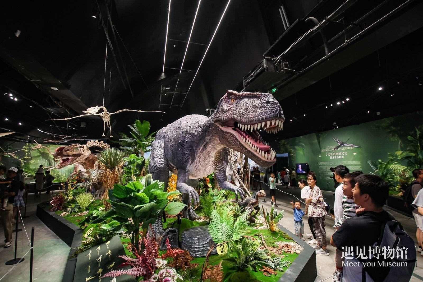 2. 游客參觀“2億年的地球記憶——恐龍化石特展”。遇見博物館供圖