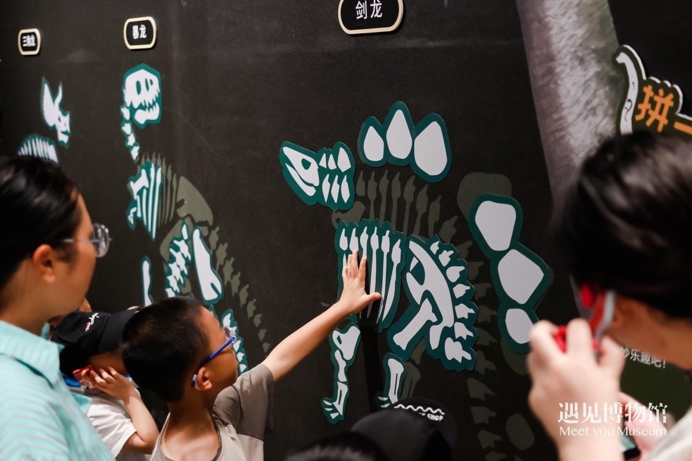 5. “2億年的地球記憶——恐龍化石特展”互動區(qū)域。遇見博物館供圖
