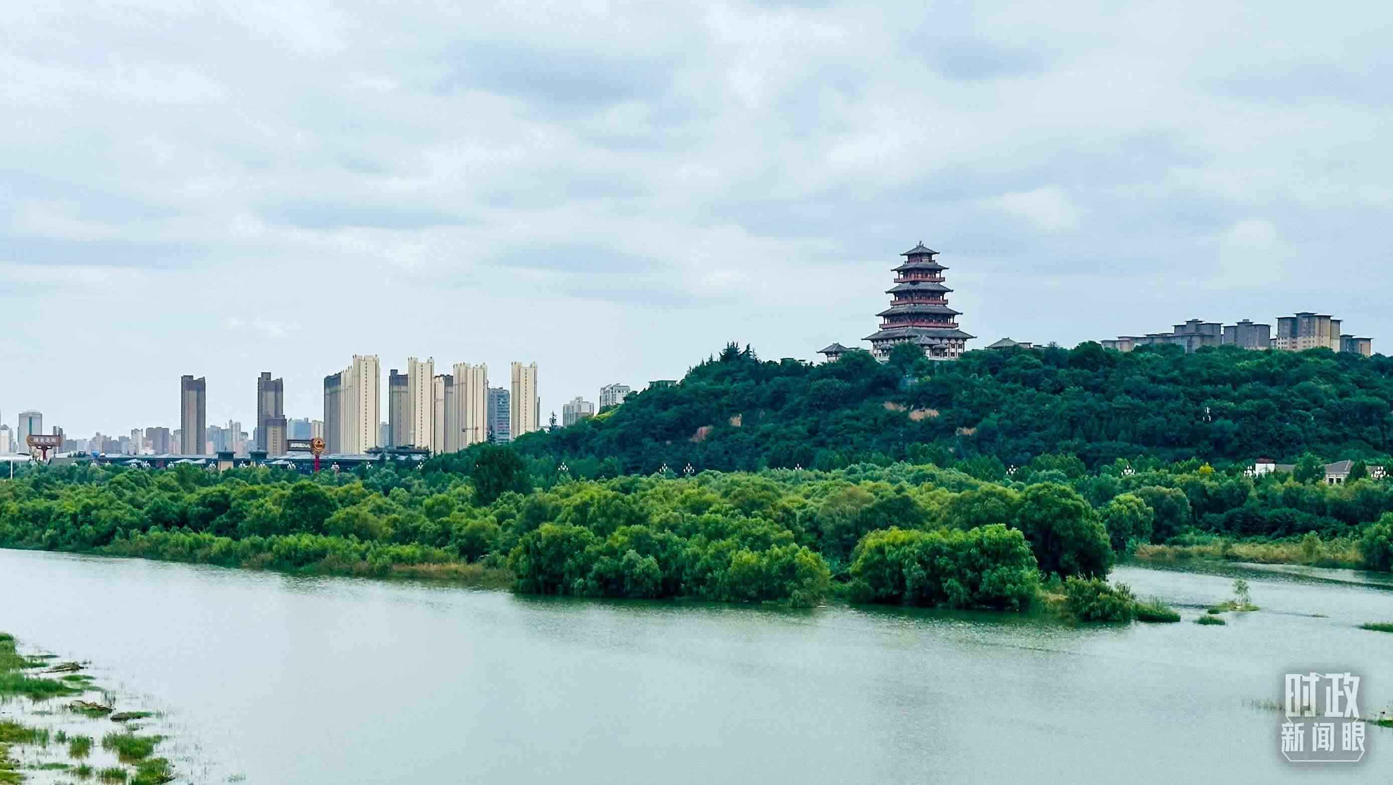 △黃河的第一大支流——渭河。（總臺央視記者范一鳴拍攝）